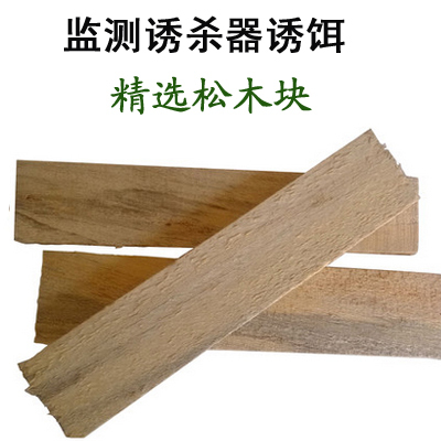 防蚁松木块引诱白蚁松木板监测诱杀白蚁饵料榕树园林堤坝白蚁3块