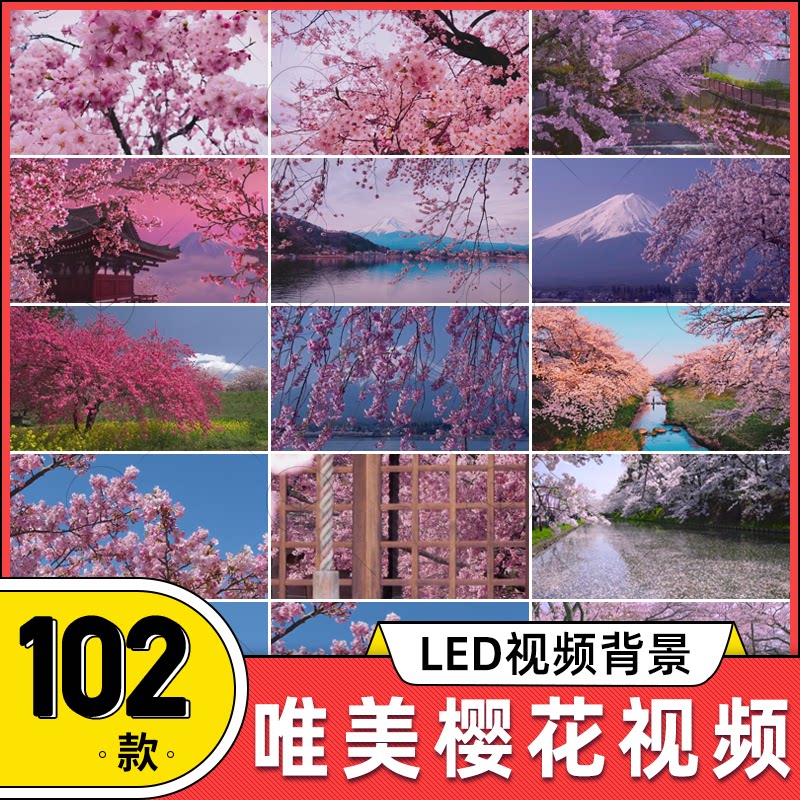 唯美春天风景樱花飘落粉色花海花瓣实拍空镜 led大屏背景视频素材