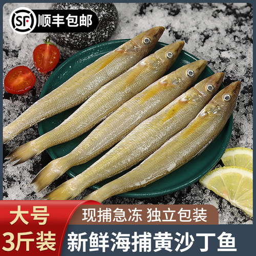 新鲜沙丁鱼鲜活速冻3斤顺丰包邮