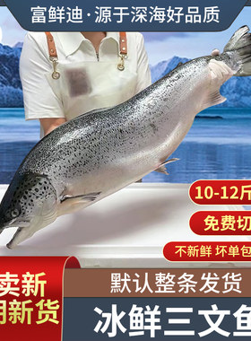 冰鲜挪威三文鱼一整条10-12斤