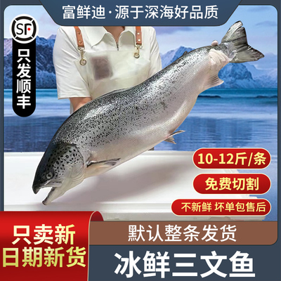 冰鲜挪威三文鱼一整条10-12斤