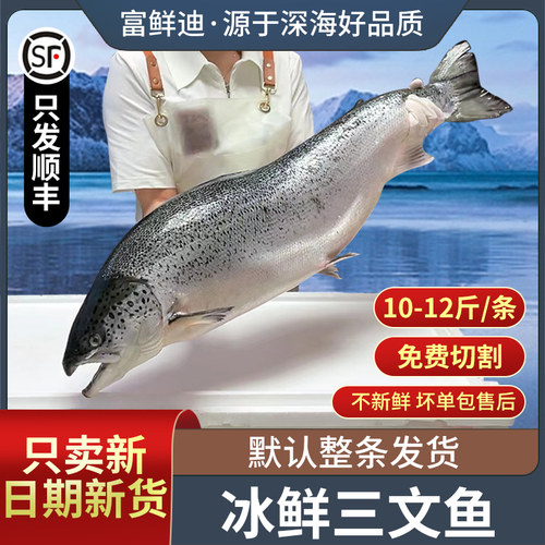 冰鲜挪威三文鱼一整条10-12斤