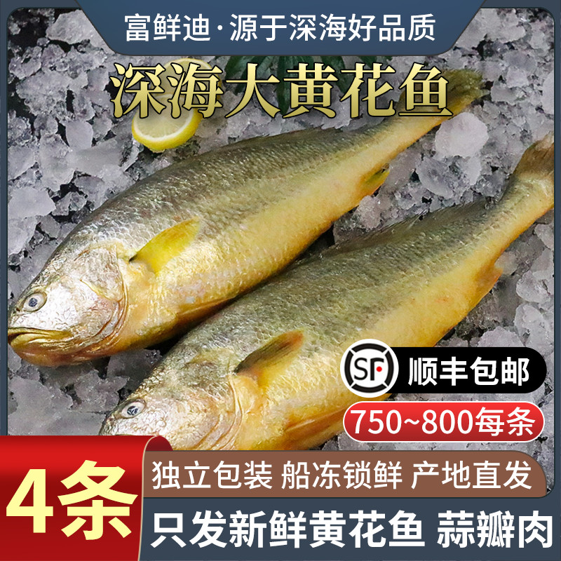 黄花鱼新鲜冷冻生鲜水产大黄鱼鲞鲜活冰鲜超大深海鱼海鲜整箱包邮 - 封面
