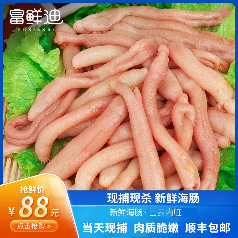 青岛海肠新鲜皮沙虫鲜活即食当天现挖海鲜水产新鲜海肠子鲜活沙虫