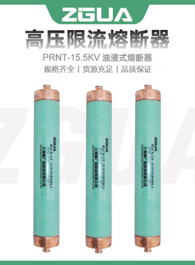 油浸式美式变压器熔断器 XRNT-15.5KV/31.5A63A80A125A175A熔断器