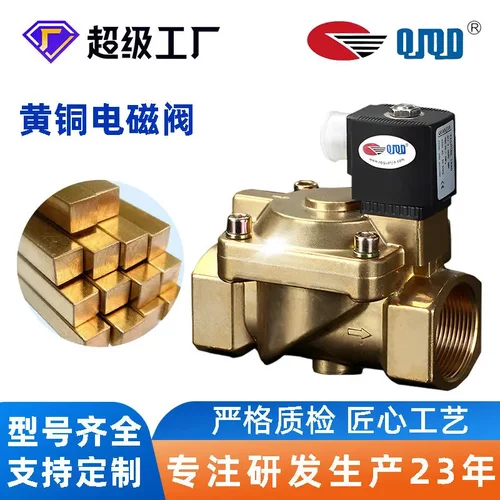 2252032.1440黄铜电磁阀DN32