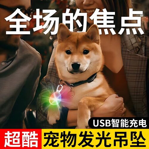 LED狗狗发光夜光防走失吊坠