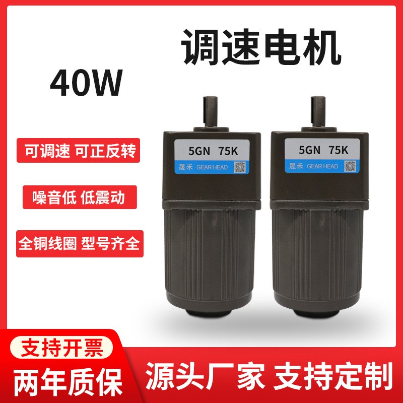 调速电机40W220V/380V齿轮减速机灌肠机5IK40RGN-C可调变速小马达