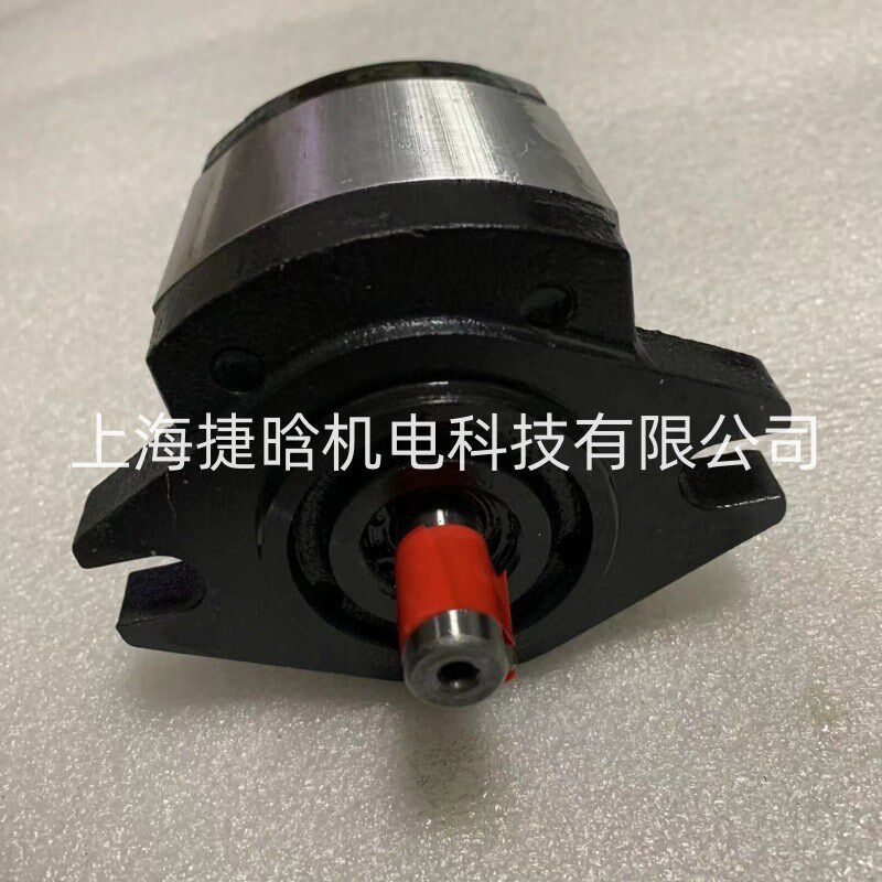 齿轮泵 2GG1P25R 2GG1P28R 2GG1P30R 2GG1P04R 2GG1P06R