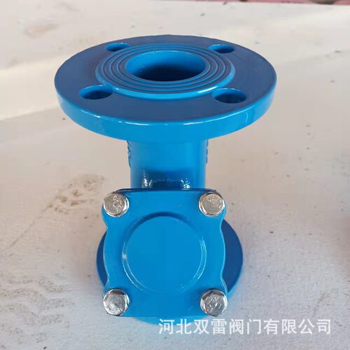 双雷铸铁管道式工业过滤器dn40法兰陶粒溢流y型过滤器水阀