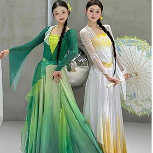 青蛇白蛇演出服古典舞服装青白同款双人表演服