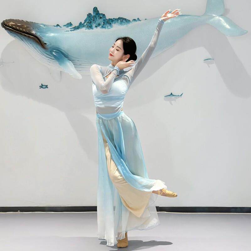 中国风古典衣舞LWK练功服 天蓝色弹力纱裤 民族舞出女服装 舞台用