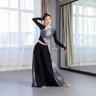 古典舞水墨画国风套装黑色舞蹈上衣成人练功服网纱拼接长袖艺考