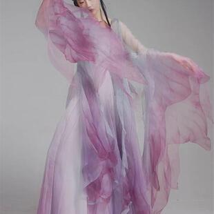 千鹤万蝶寻迹粼粼古典舞表演服汉元素飘逸仙气大袖衫连衣裙汉服