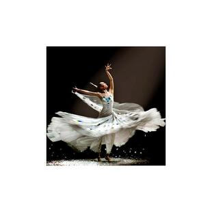 傣族少数民族孔雀舞蹈大摆裙表演服演出服饰杨丽萍雀之灵舞蹈同款