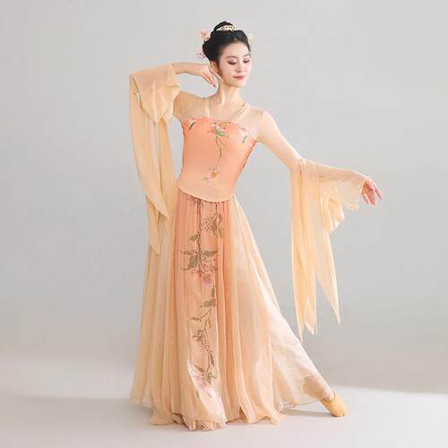 古典舞蹈服女飘逸身韵纱衣练功服大摆裙古风中国舞汉唐舞蹈演出服