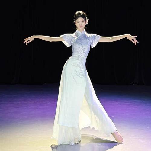烟火易冷古典舞服装苏州慢念琵琶演出服中国舞弹力旗袍青花瓷表演