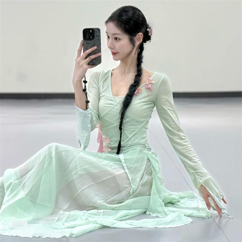 春颂舞蹈服装新款相思套演出服中国舞古典舞弹力纱衣艺考套装女装