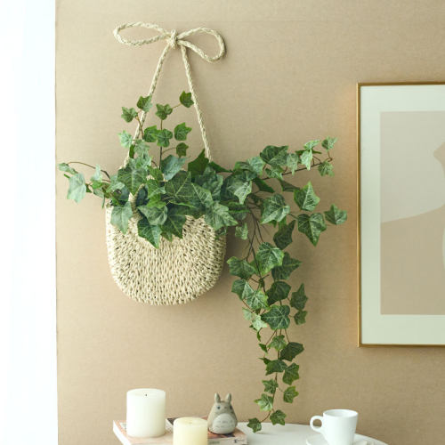 ins北欧风墙面装饰品壁挂仿真假绿植藤蔓客厅卧室出租房新家改造