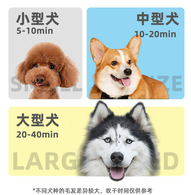 狗狗吹风机大功率宠物吹水机大型犬猫咪洗澡专用烘干吹毛神器