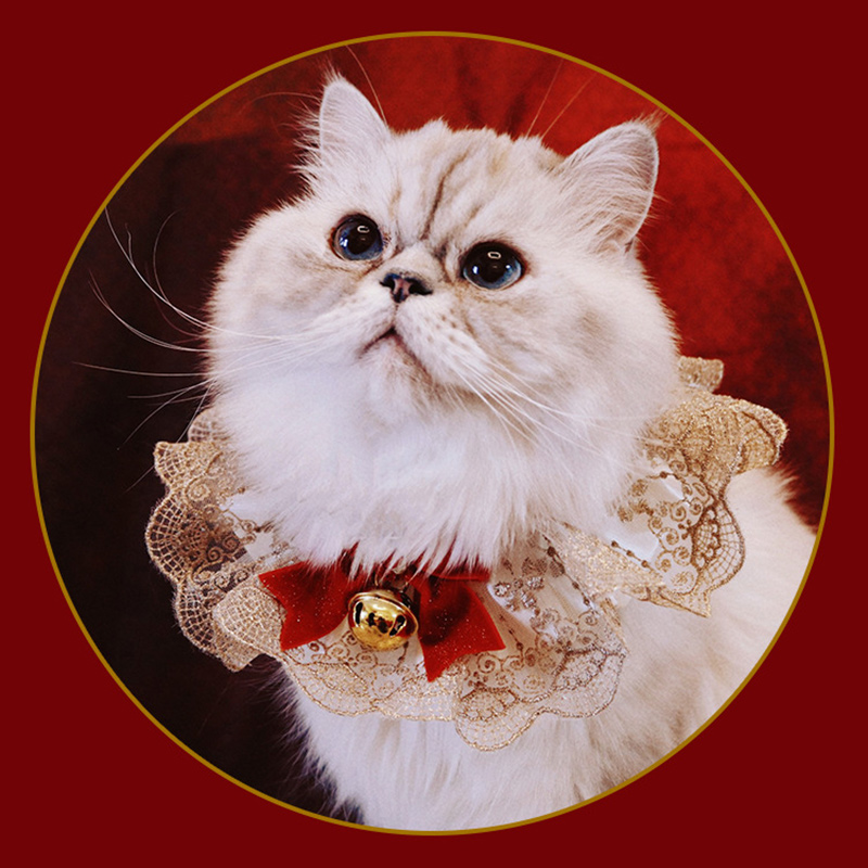 宠物猫咪新年围脖狗狗圣诞围巾