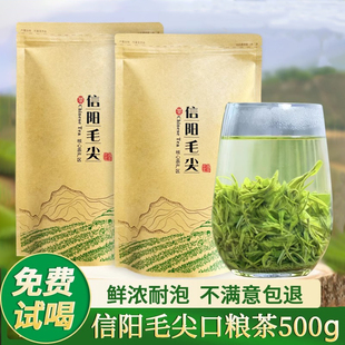 信阳毛尖2025新茶明前高山嫩芽茶叶浓香耐泡绿茶散装春茶袋装500g