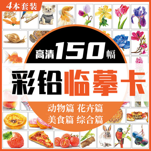 官方正版临摹花卉动物美食综合