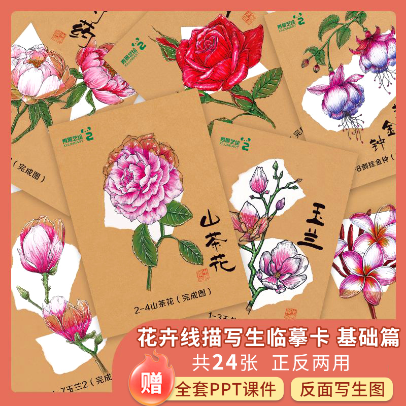 秀景艺绘繁花似锦彩色花卉线描写生临摹卡基础篇美术创意素描考级画室临摹卡素材