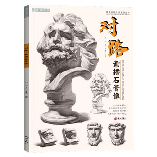 对路素描石膏像 零基础石膏头像肖像五官结构头骨画画书籍八开照片临摹范本画册联考高考联考美术绘画入门教程学教材书籍 祁达