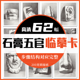 石膏五官临摹卡 结构步骤明暗文创作品高清精美创意校考教材基础教程A5尺寸教学教程美术绘画静物描摹练习临摹卡片
