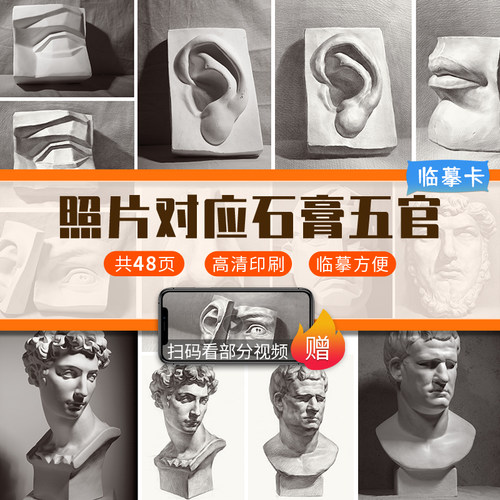 照片对应石膏五官作品完整素描临摹卡 素描石膏五官头像临摹范本范例美术书绘画零基础入门临摹画册教材色彩教程