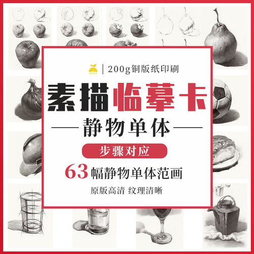 励尚文化素描单体静物临摹卡片