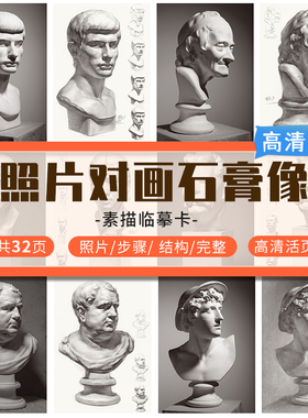 8开素描石膏像临摹卡照片对画临摹对应