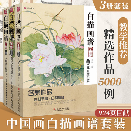 沐尚文化国画白描基础入门