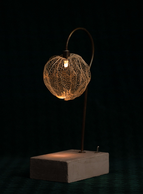 元气造物～潮流艺术 lantern plant 森之灯（西别府久幸）N25B012