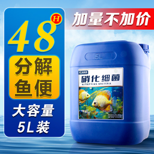 硝化细菌鱼缸用锦鲤鱼池专用养鱼分解鱼粪鱼用消化细菌过滤净水剂