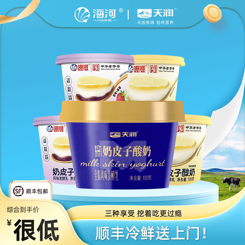 顺丰包邮新疆天润酸奶100g杯天津海河奶皮子发酵乳120g醇厚凝固