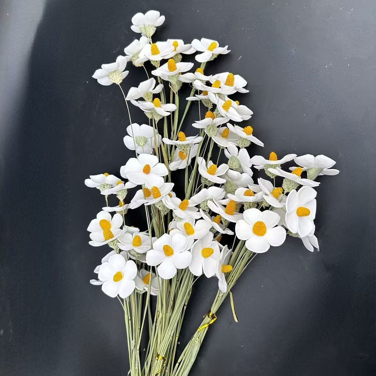干花紫罗兰花束ins家居摆件真花永生花diy插花花材