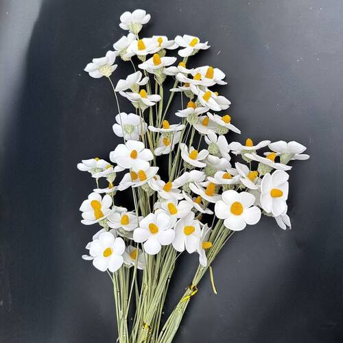 干花紫罗兰花束ins家居摆件真花永生花diy插花花材