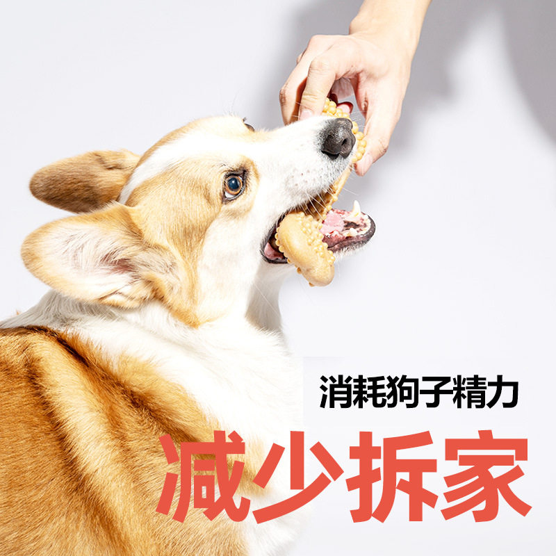 FOFOS两只福狸狗狗玩具磨牙棒宠物狗耐咬幼犬木制鹿角狗玩具萌宠