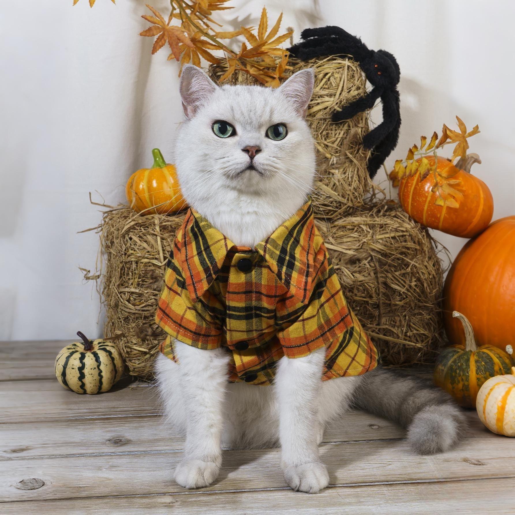 宠物衣服万圣节衬衫狗狗猫咪节日装扮格纹图案开胸易穿脱夏季薄款