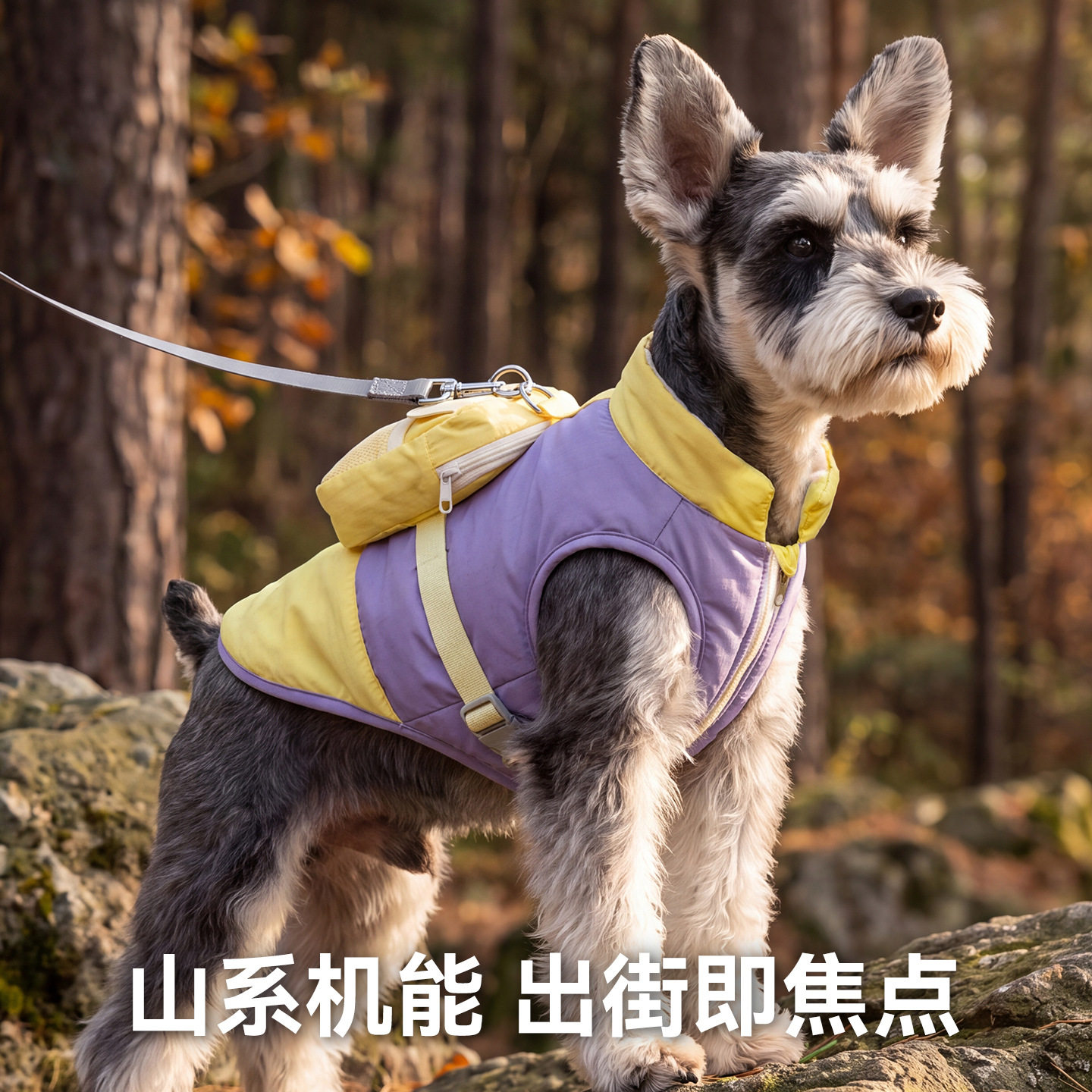 秋冬狗狗衣服狗棉衣户外
