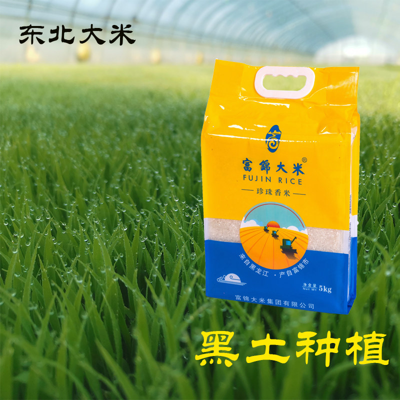富锦大米珍珠香米 圆粒米长粒饭 少食饱腹不一样的珍珠米 东北5kg