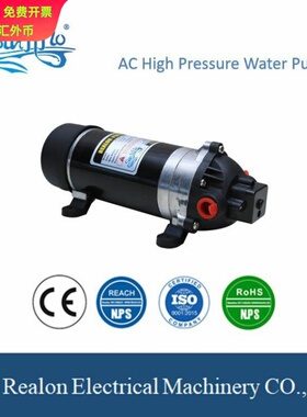 DP系列隔膜泵 农业灌溉泵 电动清洗水泵 120-170PSI 高压泵