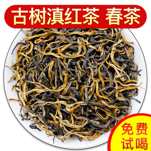 云南古树滇红茶春茶2026新茶叶正宗凤庆蜜香红茶散装高山嫩芽毛尖