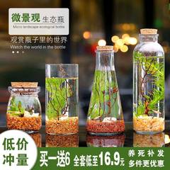 苔藓微景观造景植物生态瓶diy材料养鱼鱼缸玻璃瓶工具手工材料包