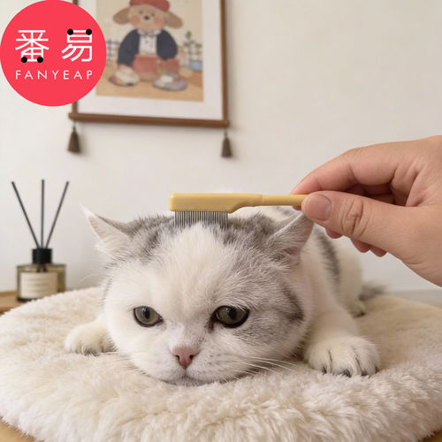 泪痕梳A1pn008-宠物眼部泪痕用梳子小型犬猫咪眼屎清洁用刷子
