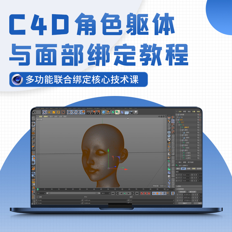 本课程一部基于C4D的角色绑定课程 骨骼权重