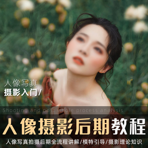从摄影小白才能听懂的内容到中高级拔高课程