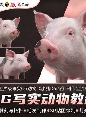 Maya/ZBrush教程照片级写实CG动物小猪Daisy制作全流程视频课程